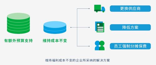 2020年高科技與互聯(lián)網(wǎng)行業(yè)員工福利洞察報(bào)告 聚焦互聯(lián)網(wǎng)技術(shù)開(kāi)發(fā)人才